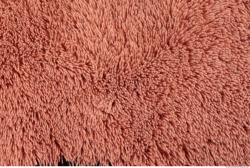 Carpet Fabric